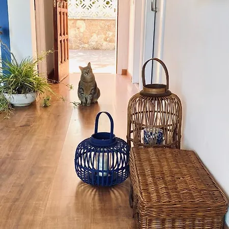 Appartamento Sailor Sea Views *